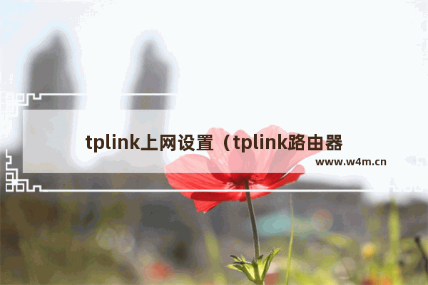 tplink上网设置（tplink路由器重置后上不了网怎么办）