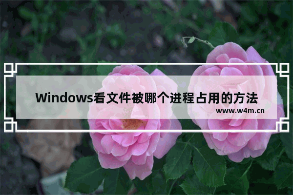 Windows看文件被哪个进程占用的方法！详细操作步骤！