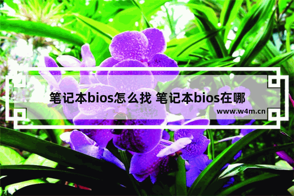 笔记本bios怎么找 笔记本bios在哪里