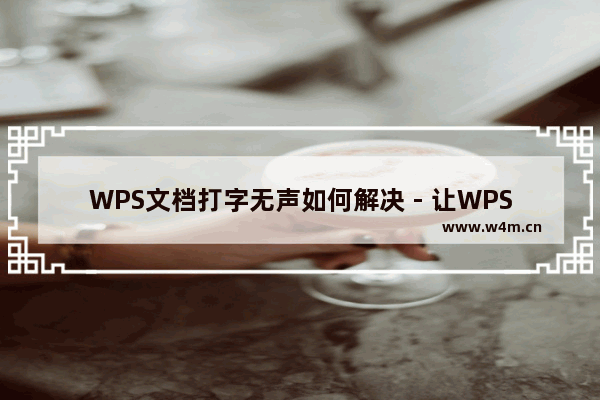 WPS文档打字无声如何解决 - 让WPS文档正常输入文字的方法