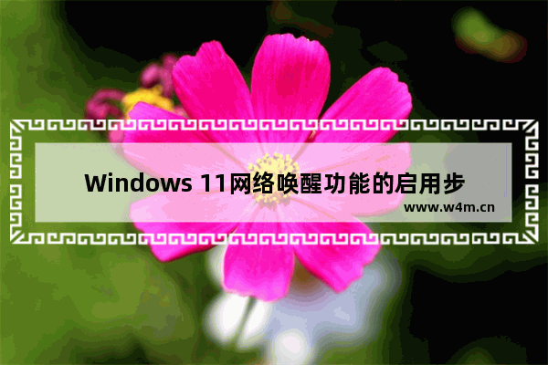 Windows 11网络唤醒功能的启用步骤