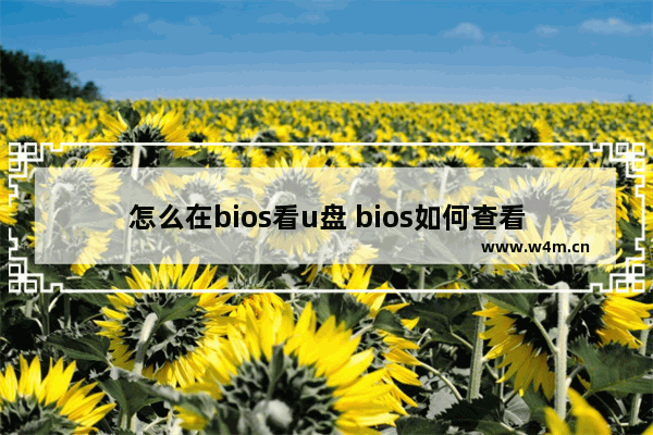 怎么在bios看u盘 bios如何查看