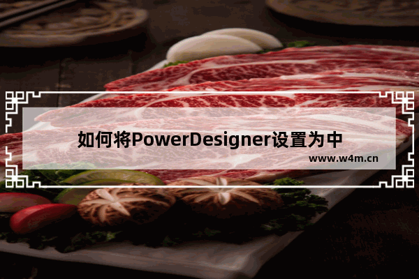 如何将PowerDesigner设置为中文界面？