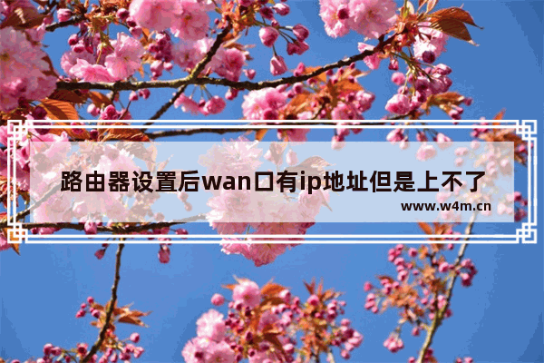 路由器设置后wan口有ip地址但是上不了网如何解决？