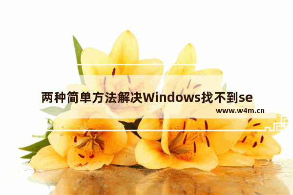 两种简单方法解决Windows找不到service.mac的问题 - 如何解决windows找不到service.mac