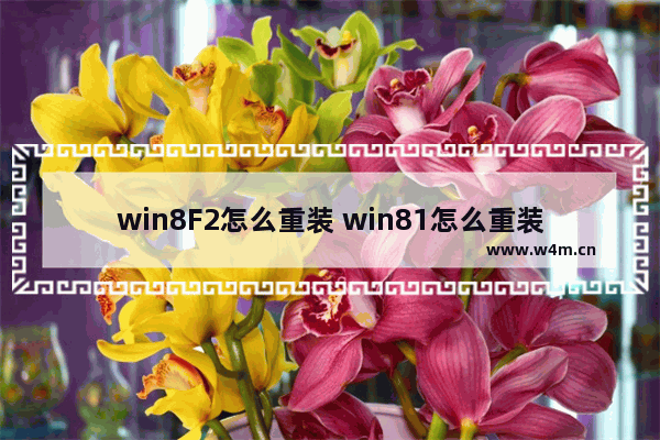 win8F2怎么重装 win81怎么重装