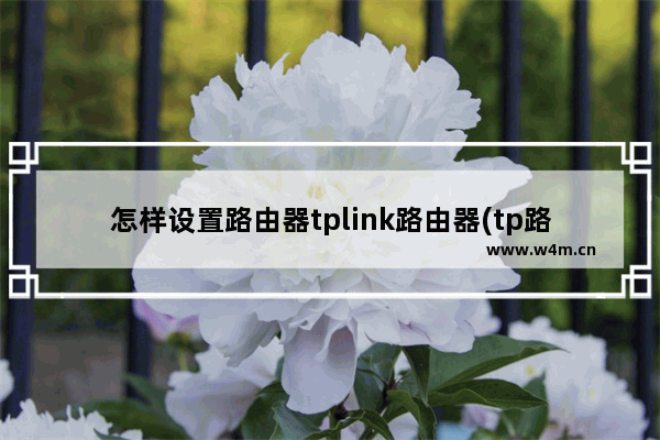 怎样设置路由器tplink路由器(tp路由器上网控制设置方法)