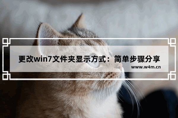 更改win7文件夹显示方式：简单步骤分享