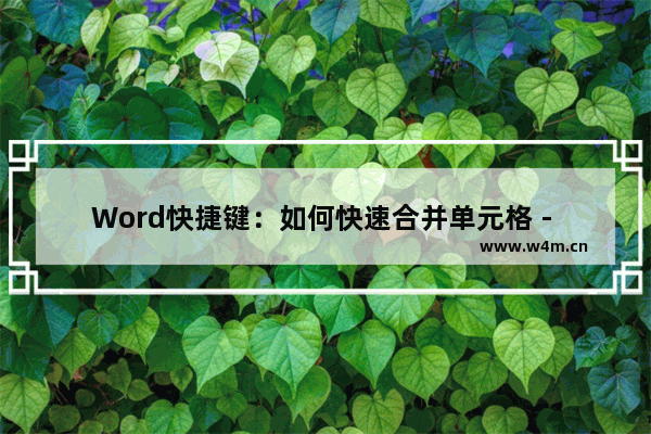 Word快捷键：如何快速合并单元格 - word合并单元格快捷键是什么