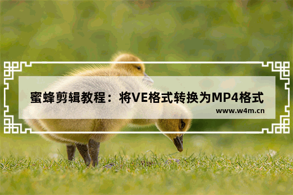 蜜蜂剪辑教程：将VE格式转换为MP4格式的方法分享