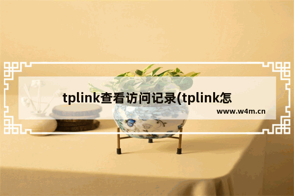 tplink查看访问记录(tplink怎么通过路由器查宽带账号和密码)