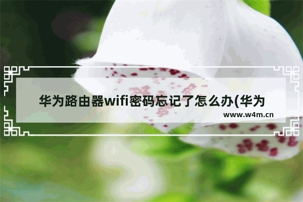 华为路由器wifi密码忘记了怎么办(华为无线wifi用户名和密码)