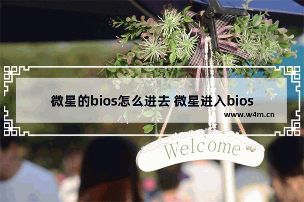 微星的bios怎么进去 微星进入bios按什么键