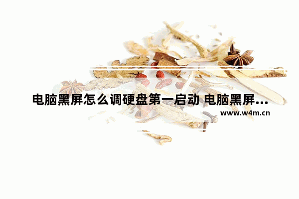 电脑黑屏怎么调硬盘第一启动 电脑黑屏硬盘里的东西可以取出来吗