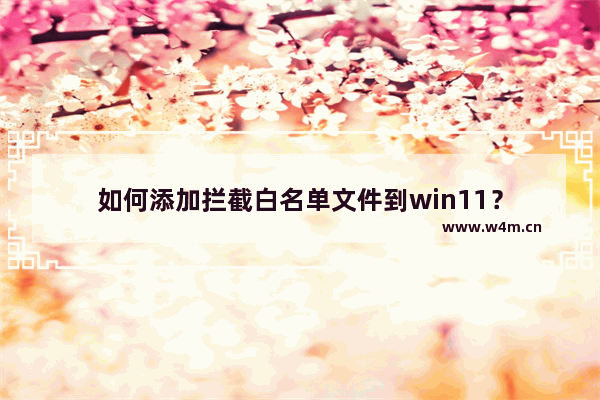 如何添加拦截白名单文件到win11？