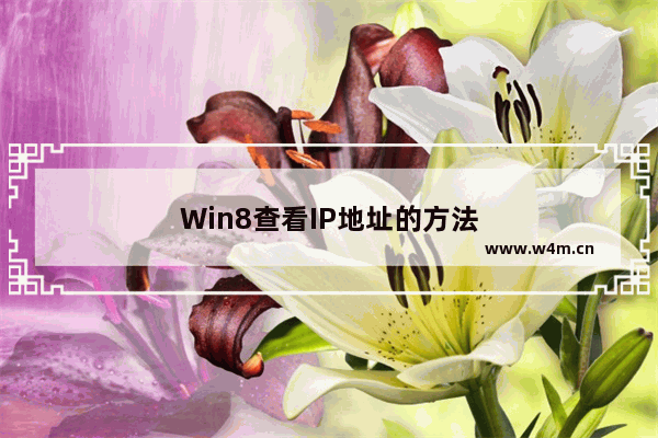 Win8查看IP地址的方法