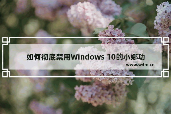 如何彻底禁用Windows 10的小娜功能