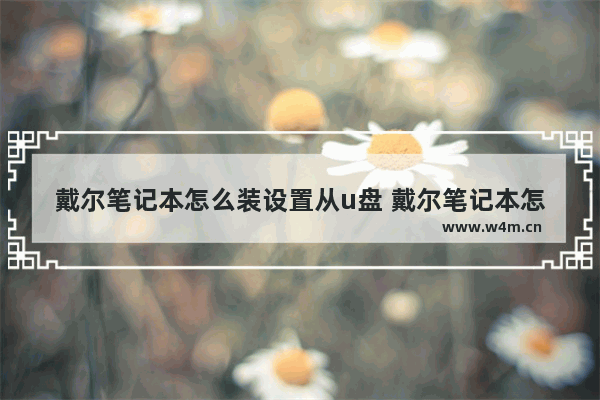 戴尔笔记本怎么装设置从u盘 戴尔笔记本怎么装设置从u盘启动软件