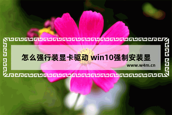 怎么强行装显卡驱动 win10强制安装显卡驱动