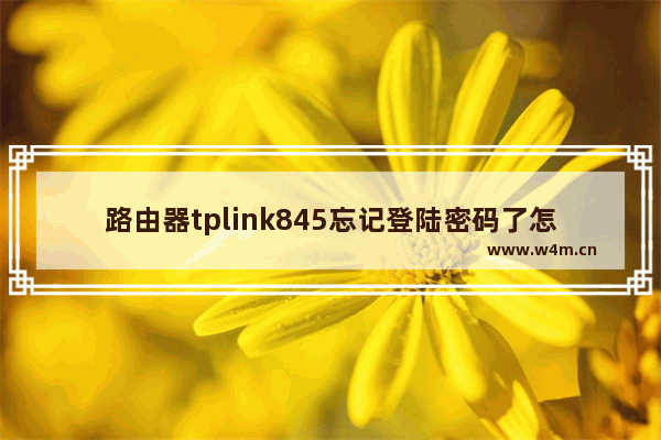 路由器tplink845忘记登陆密码了怎么办