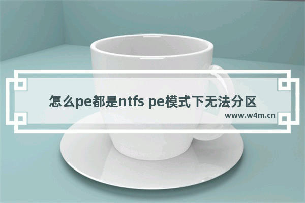 怎么pe都是ntfs pe模式下无法分区