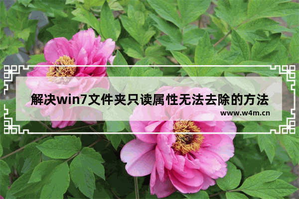 解决win7文件夹只读属性无法去除的方法