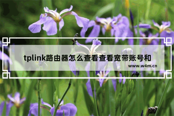 tplink路由器怎么查看查看宽带账号和密码？