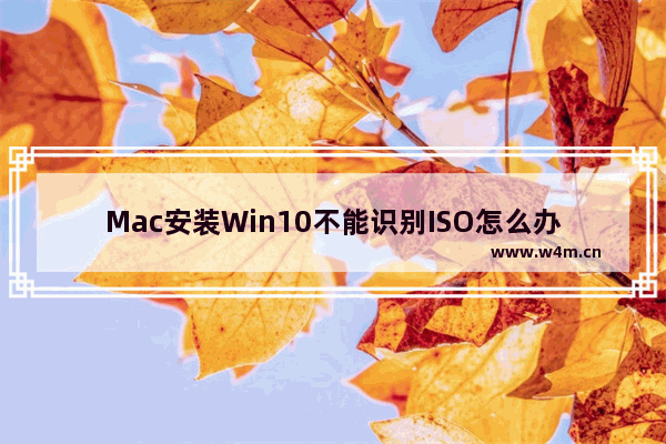 Mac安装Win10不能识别ISO怎么办？教你解决问题！