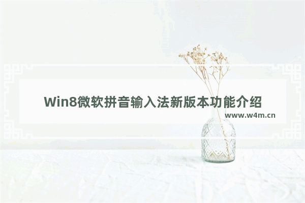 Win8微软拼音输入法新版本功能介绍