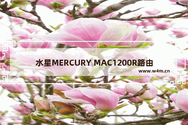 水星MERCURY MAC1200R路由器管理员默认密码是什么？