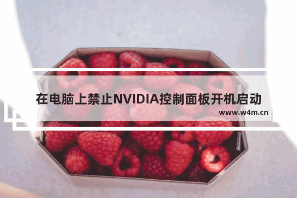 在电脑上禁止NVIDIA控制面板开机启动的方法 - 处理NVIDIA控制面板开机启动的方法