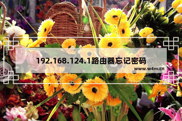 192.168.124.1路由器忘记密码怎么办(路由器重设密码)