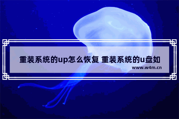 重装系统的up怎么恢复 重装系统的u盘如何恢复