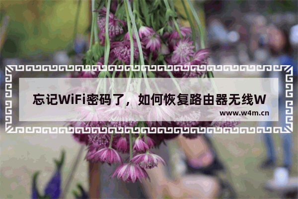 忘记WiFi密码了，如何恢复路由器无线WIFI密码和用户名