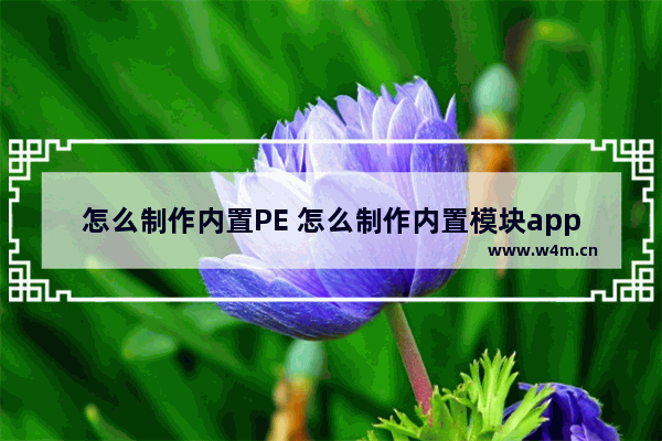 怎么制作内置PE 怎么制作内置模块app