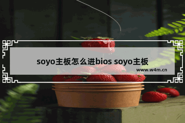 soyo主板怎么进bios soyo主板按什么键进入u盘启动