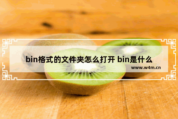 bin格式的文件夹怎么打开 bin是什么格式的文件怎么打开