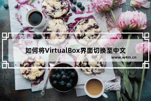 如何将VirtualBox界面切换至中文？中文设置指南