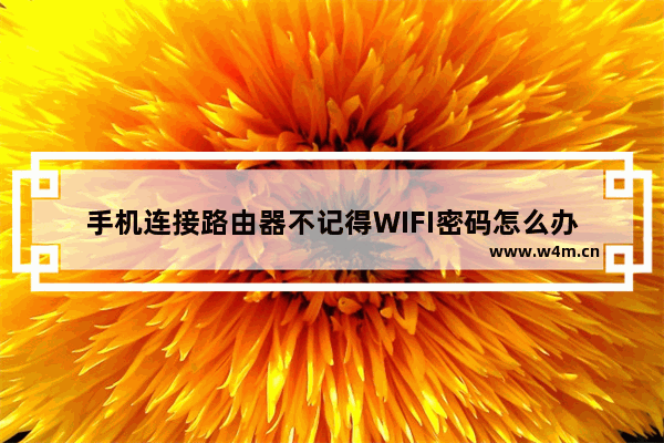 手机连接路由器不记得WIFI密码怎么办