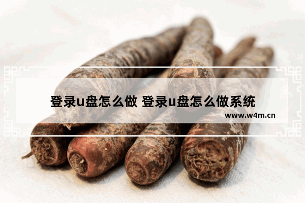 登录u盘怎么做 登录u盘怎么做系统