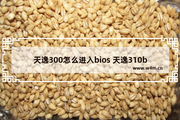 天逸300怎么进入bios 天逸310bios设置u盘启动