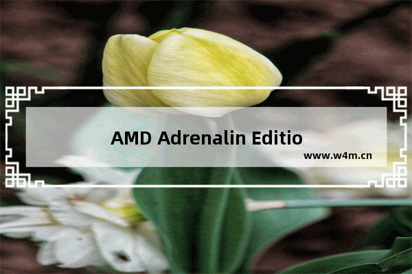 AMD Adrenalin Edition 23.2.2驱动发布：新版本更新内容一览