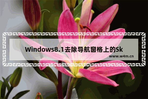 Windows8.1去除导航窗格上的SkyDrive快捷方式的方法