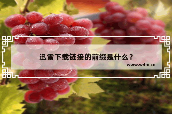 迅雷下载链接的前缀是什么？