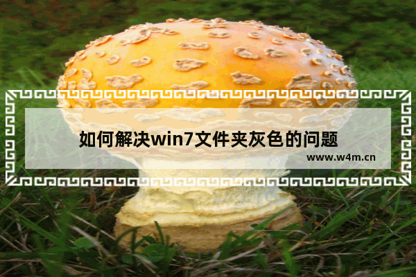 如何解决win7文件夹灰色的问题