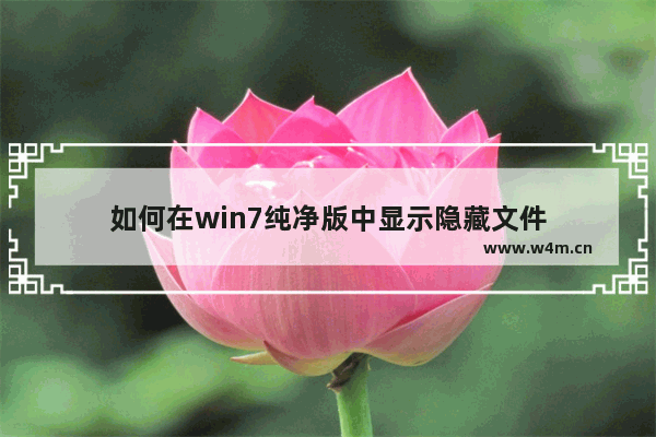 如何在win7纯净版中显示隐藏文件