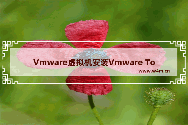 Vmware虚拟机安装Vmware Tools后文件操作问题：解决方法分享