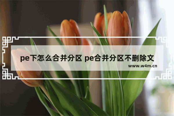 pe下怎么合并分区 pe合并分区不删除文件