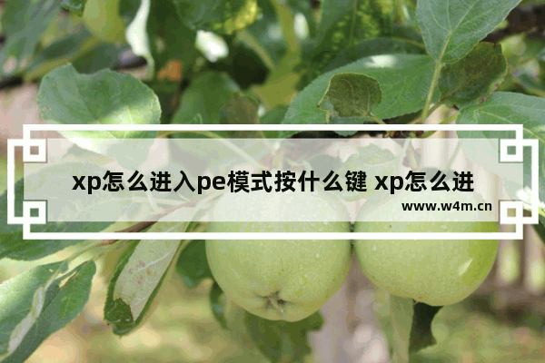 xp怎么进入pe模式按什么键 xp怎么进入pe模式按什么键启动