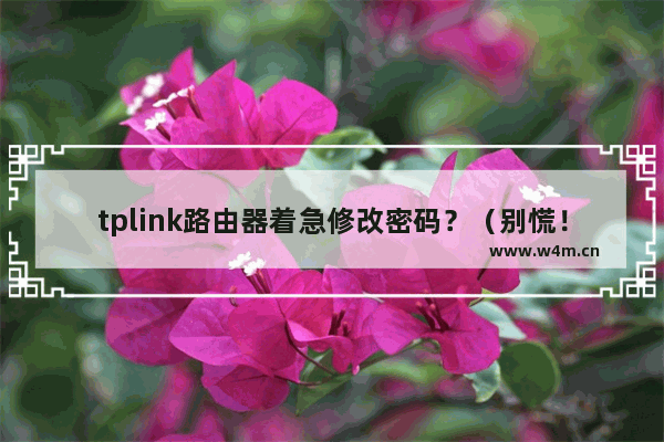 tplink路由器着急修改密码？（别慌！修改密码教程来了）